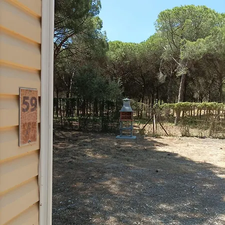 Apartment Apartoyou - Mobile Nature
