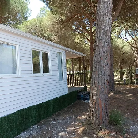 Apartment Apartoyou - Mobile Nature El Puerto de Santa María
