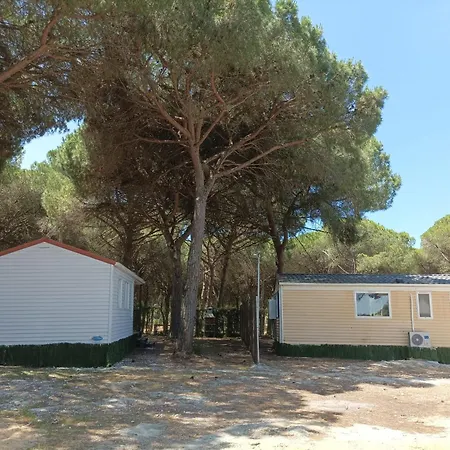 Apartoyou - Mobile Nature Apartment